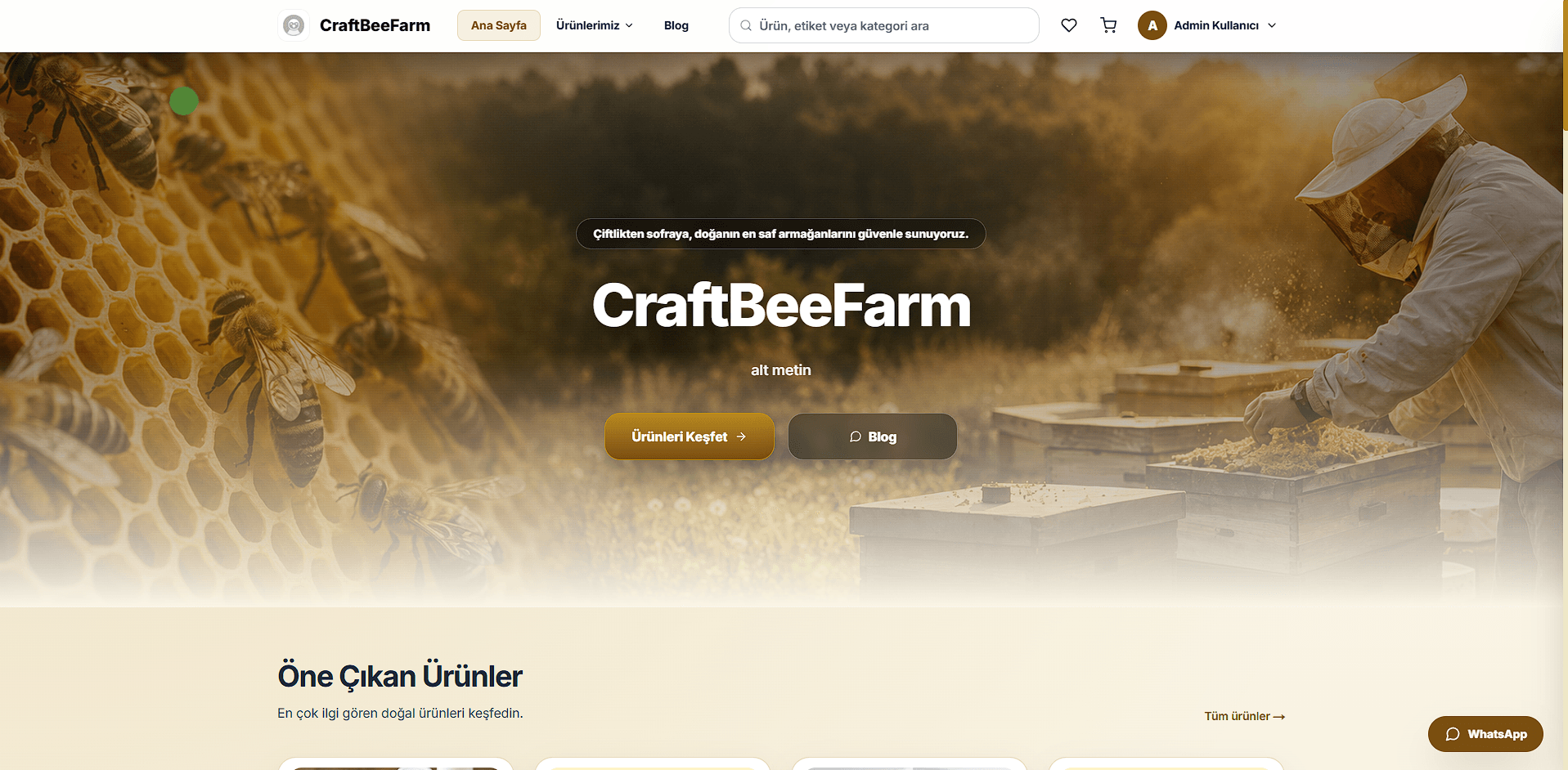 E-ticaret vitrin ana sayfa ve hero bölümü